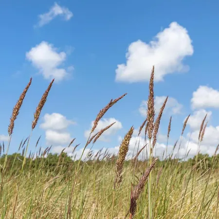 Appartement Melita - 300m From The Sea By Interhome